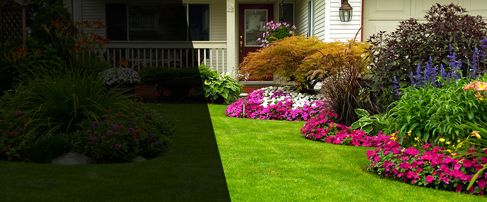 Fyffe Landscapers