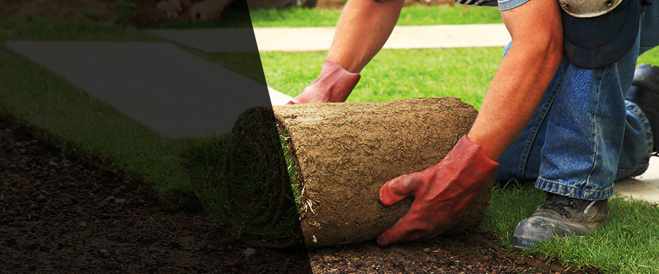 Fyffe Landscapers